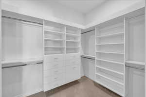 Spacious closet featuring light colored carpet