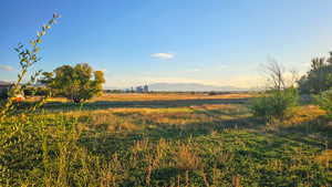 View of yard featuring a mountain view and a rural view