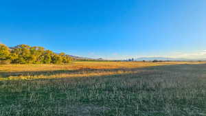 View of yard with a mountain view and a view of rural / pastoral area