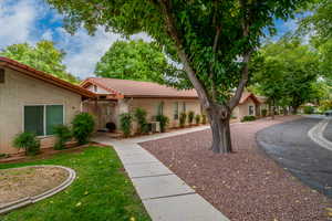 View of front of house with a tiled roof, stucco siding, and a front yard