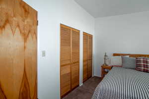 Bedroom featuring dark colored carpet, two closets, and elevator