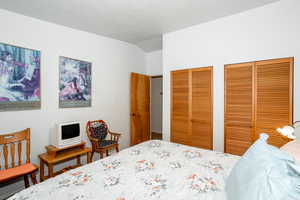 Bedroom featuring two closets and lofted ceiling