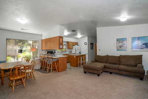 Living room featuring a textured ceiling and light colored carpet