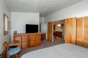 Bedroom featuring light carpet, a closet, and a textured ceiling