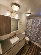 Full bath featuring dark wood-style flooring and vanity