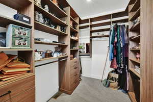 Spacious closet with light carpet