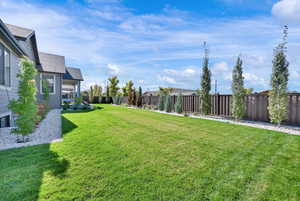 View of fenced backyard