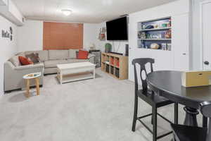 Living area with light colored carpet