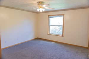 Spare room with ornamental molding, carpet flooring, ceiling fan, and a textured ceiling