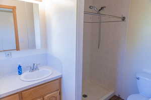 Bathroom featuring vanity and a stall shower