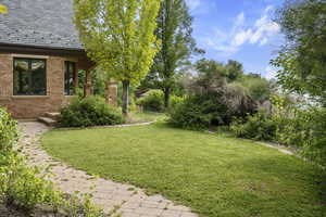 View of grassy yard