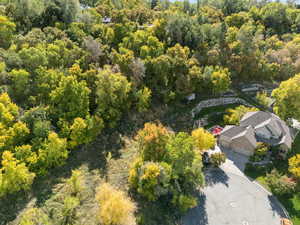 Bird's eye view of a heavily wooded area