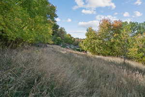 View of undeveloped land