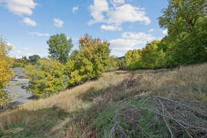 View of undeveloped land