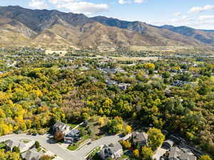 Aerial view of a mountain backdrop