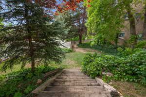 Surrounding community