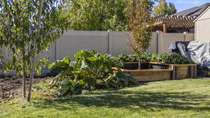 View of yard with a vegetable garden and a pergola