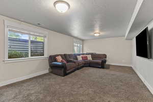 Carpeted living area with baseboards and a textured ceiling