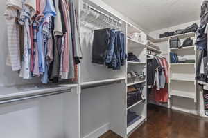 Primary closet featuring dark wood finished floors