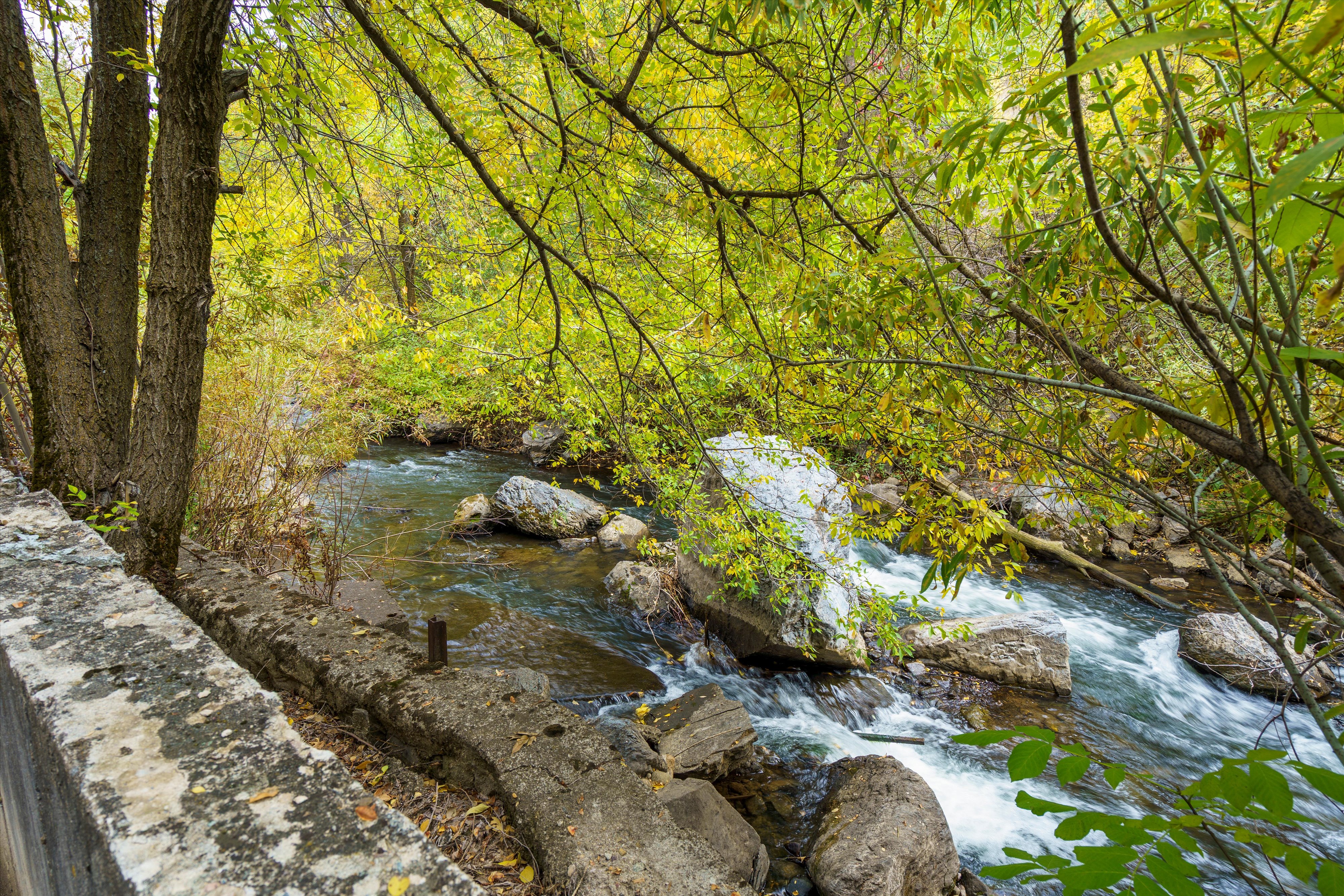Exterior view of a forest