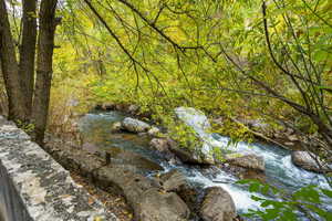 Exterior view of a forest