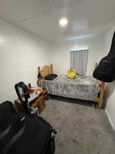 Bedroom featuring carpet floors