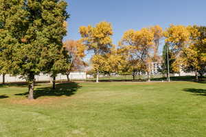 View of property's community
