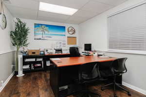 Office space with dark wood-style flooring and a paneled ceiling