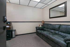 Carpeted cinema with a drop ceiling and a textured wall