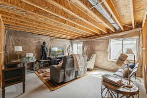 Basement with healthy amount of natural light