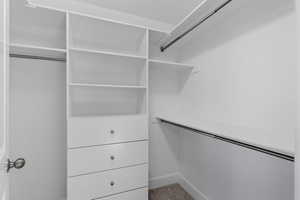 Walk in closet with light colored carpet