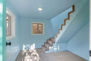 Stairway with carpet and baseboards