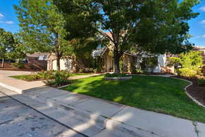 View of property hidden behind natural elements featuring a front yard and stone siding