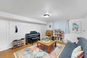 Basement living room