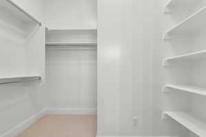 Walk in closet featuring light carpet