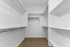 Spacious closet with light carpet