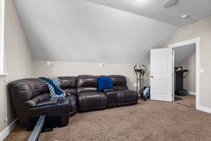 Carpeted bedroom/living area featuring a textured ceiling and vaulted ceiling