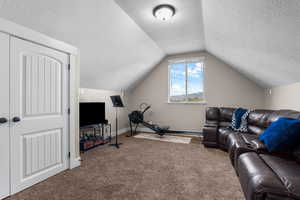 Carpeted living area/bedroom featuring a textured ceiling and lofted ceiling