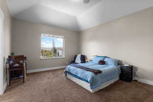 Bedroom featuring carpet floors and lofted ceiling
