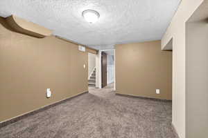 Carpeted family room
