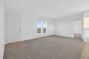 Unfurnished living room featuring light colored carpet and light wood-style floors
