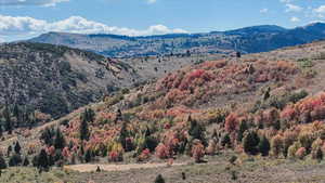 View of mountain backdrop
