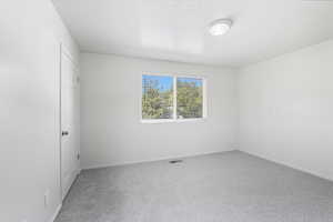 Unfurnished bedroom with light colored carpet and a textured ceiling