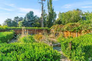 View of fenced backyard