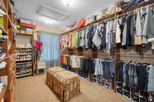 Spacious closet featuring attic access and light colored carpet