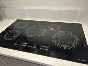 Detailed view of black electric stovetop