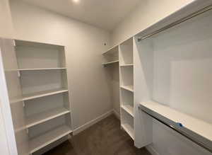 Primary Bedroom Closet