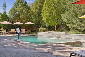 View of swimming pool with a patio