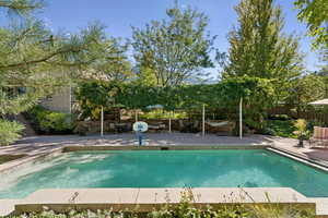 View of pool featuring a patio