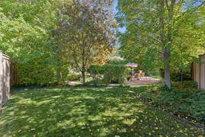 View of yard with a patio area